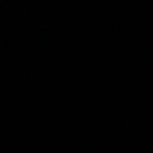 Meet your Posher, Banafsheh